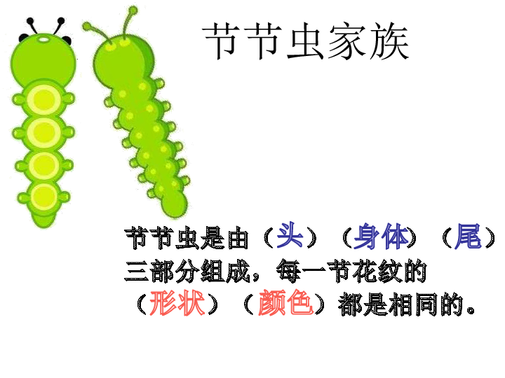 6节节虫 课件(18张幻灯片)