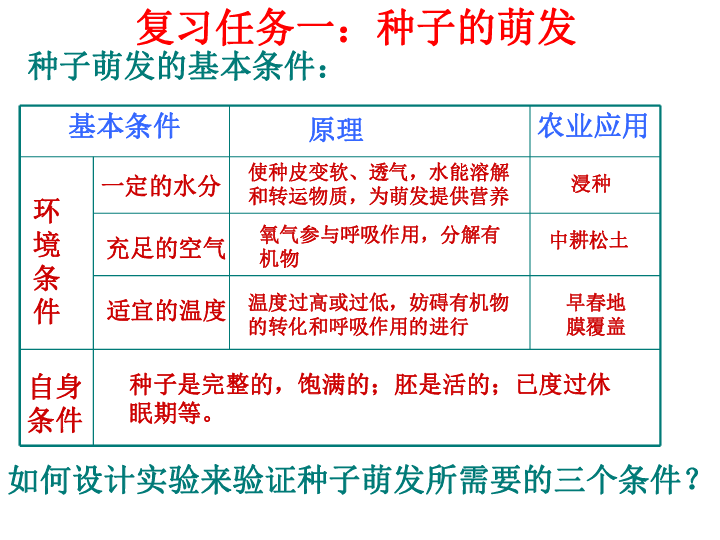 32被子植物的一生复习课件29张ppt