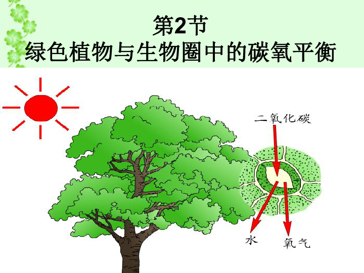 绿色植物与生物圈中的碳氧平衡共24张ppt