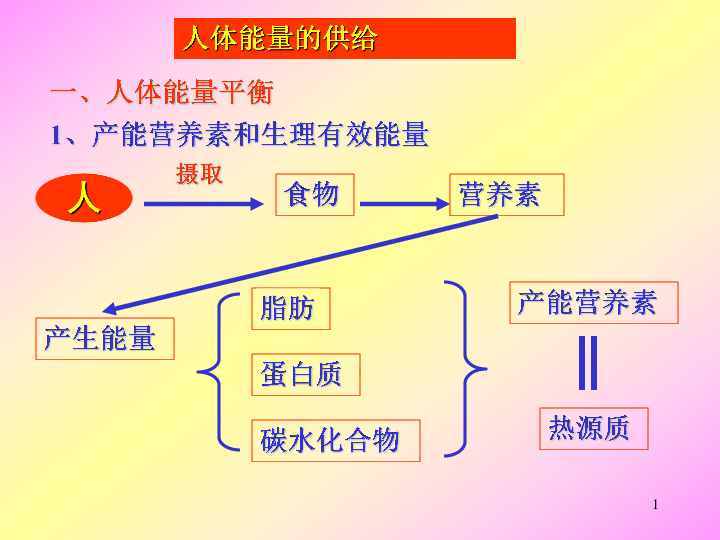 苏教版七下生物105人体能量的供给课件19张ppt