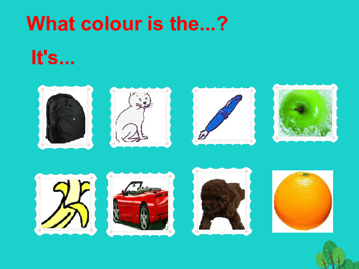 starter module 3 my english book unit 3 what colour is it?