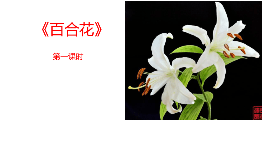 《哦,香雪《百合花》课件(36张ppt 2021-2022学年统编版高中语文