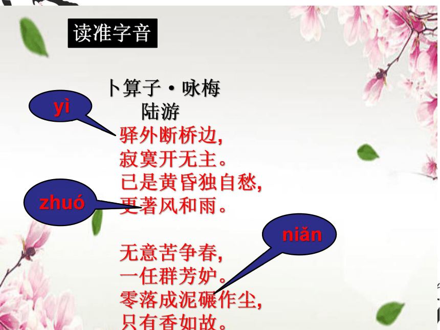 部编版八年级语文下册第六单元课外古诗词诵读卜算子咏梅课件共38张