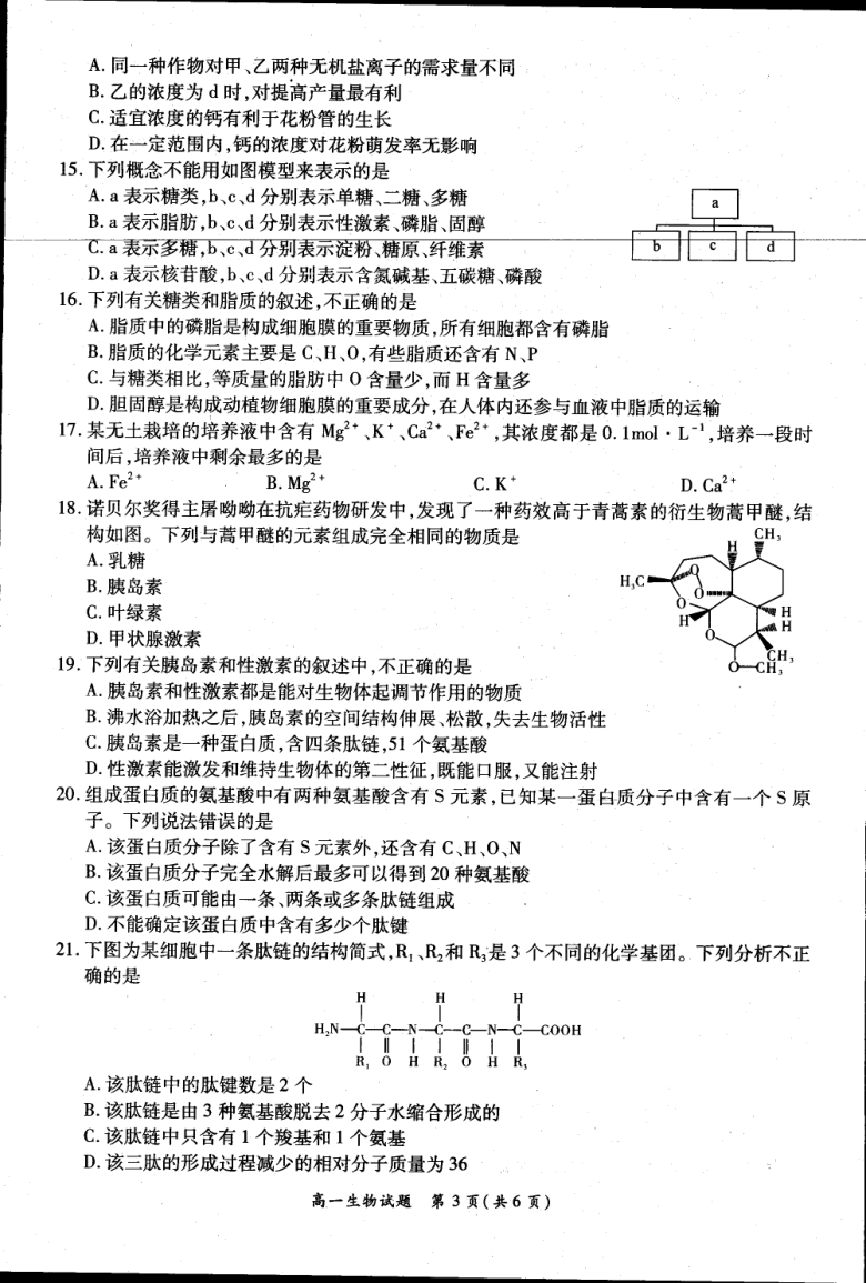 河南省洛阳市汝阳县2020-2021学年高一上学期联考生物试卷(图片版)