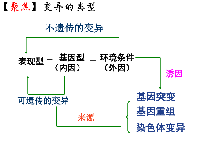 人教版(新课程标准 必修2《遗传与进化 第五章 基因突变及其他变异