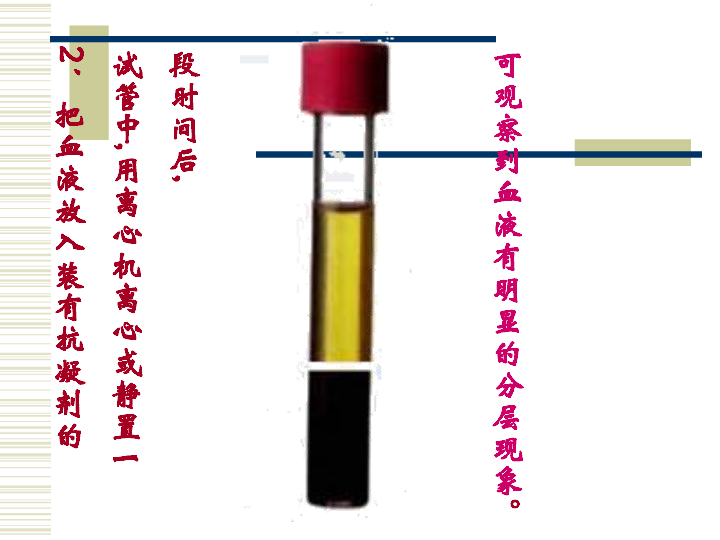 流动的组织---血液[下学期]