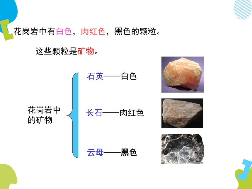 小学 科学 苏教版(2001) 五年级下册 第四单元 岩石与矿物 2.