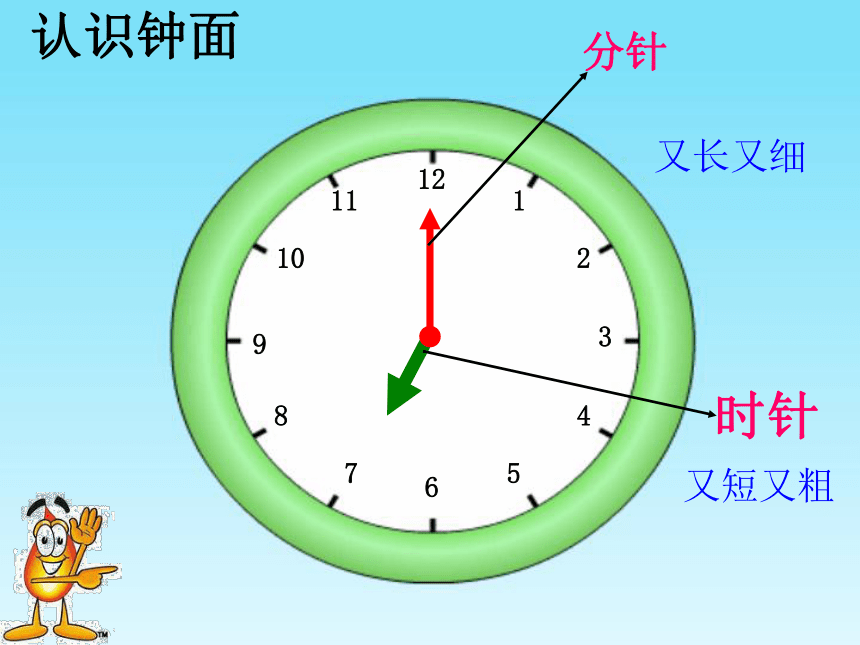 一年级数学上册课件-7. 认识钟表 -人教版(共24张ppt)