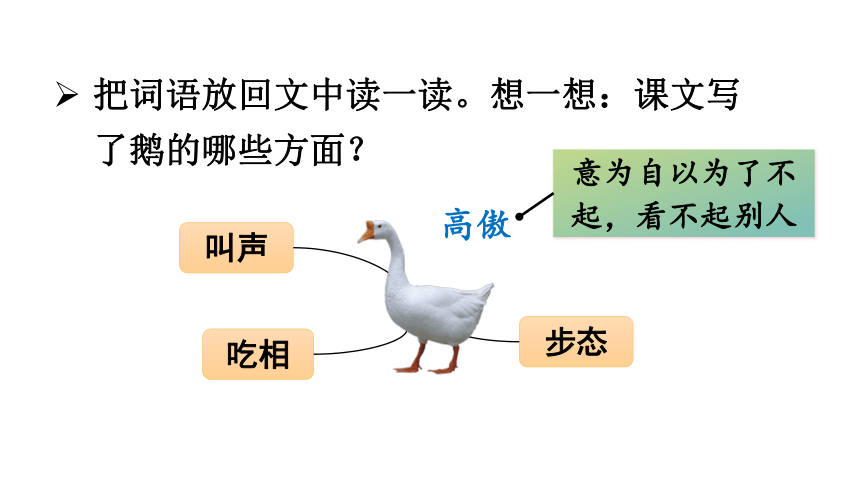 15白鹅课件2课时45张ppt