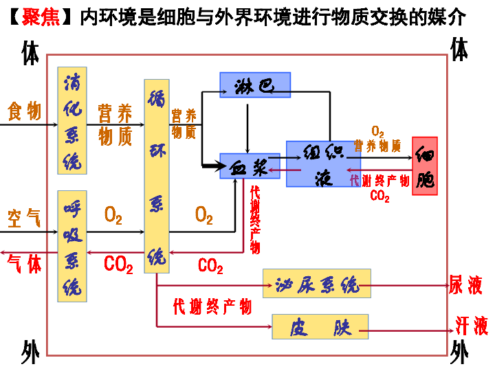 人教版高二生物必修三 第一章第二节 内环境稳态的重要性 课件(共14