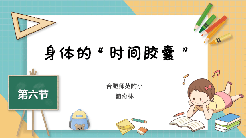 二年级下册科学课件26身体的时间胶囊课件共10张ppt