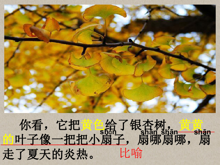 秋天的雨课件共25张ppt