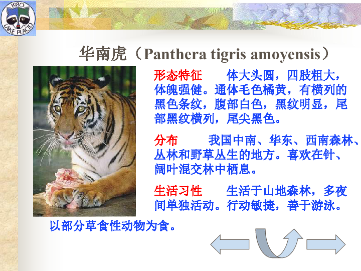我国特有的珍稀动物