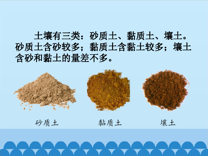 三年级上册科学课件-10 土壤的种类(青岛版六年制)(共