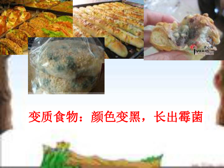 减慢食物变质的速度 课件(1)