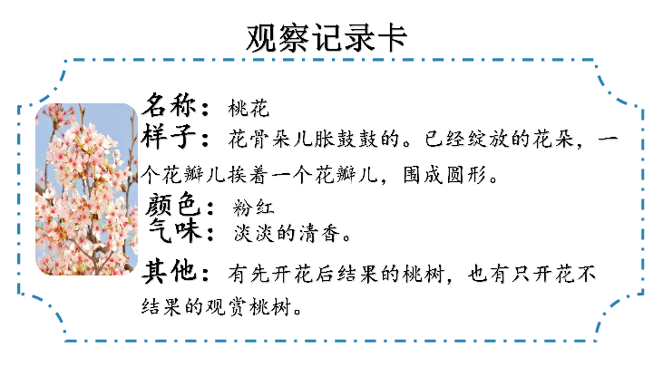 统编版三年级下册语文习作一我的植物朋友课件15张