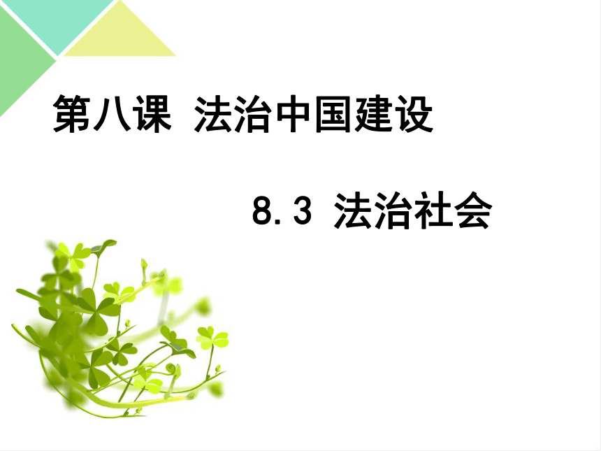 高中政治统编版必修三83法治社会课件共38张ppt