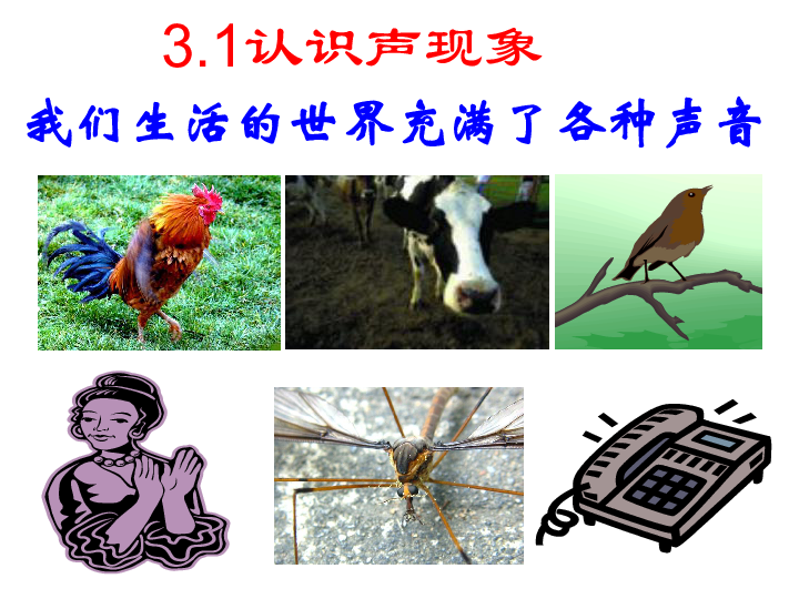教科版八年级上册物理31认识声现象课件37张ppt