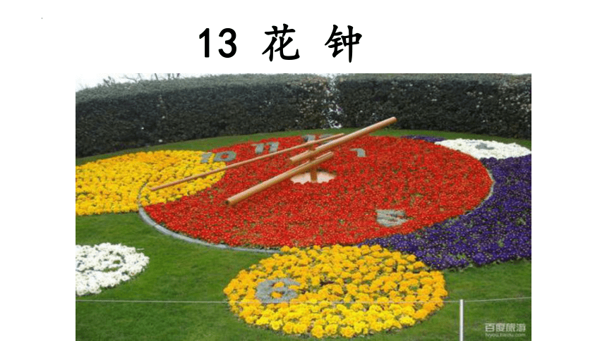 13花钟课件共36张ppt
