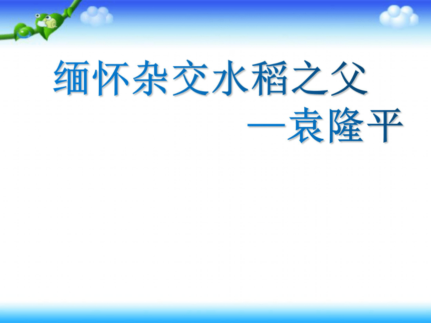 缅怀杂交水稻之父——袁隆平 课件(24张幻灯片)