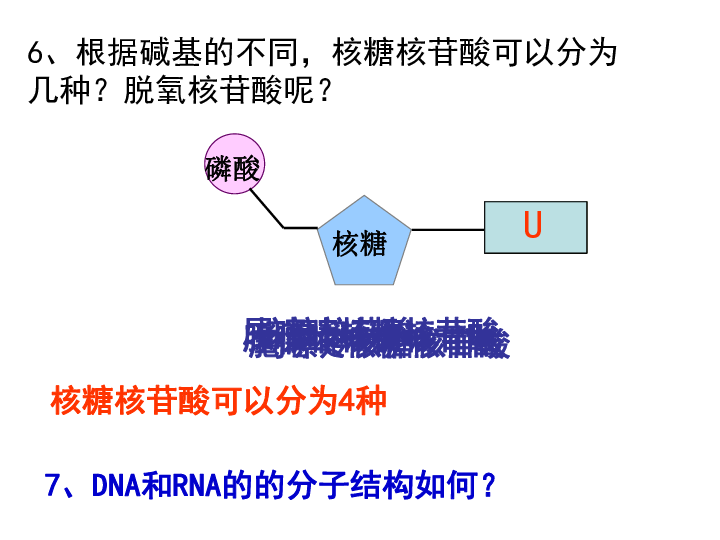 核酸