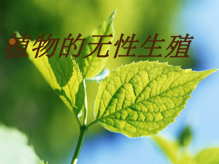 植物的无性生殖