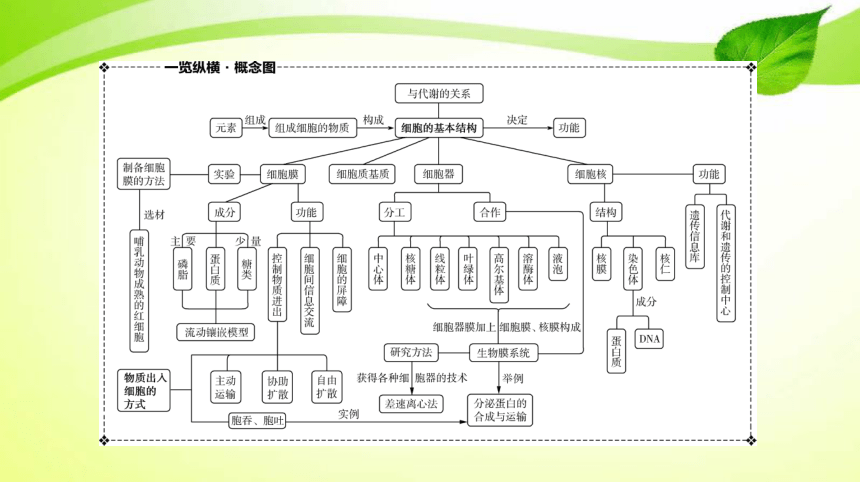 高考生物二轮总复习导学案专题2细胞的分子组成结构和生命历程第3讲