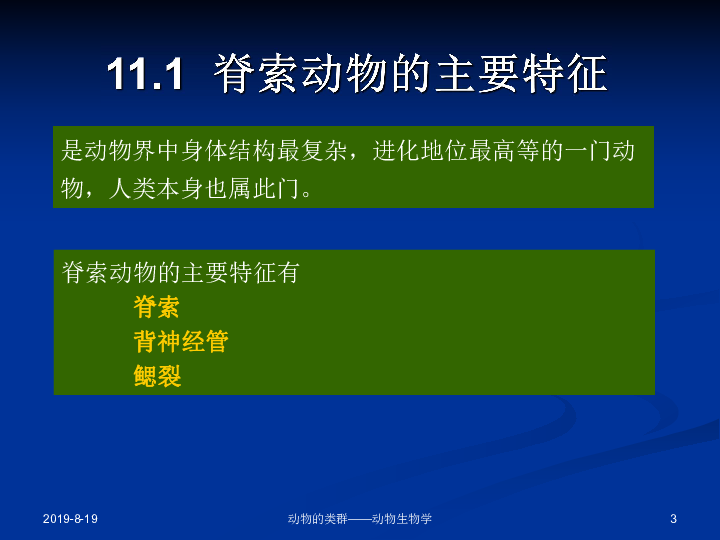 动物的类群之脊索动物概述