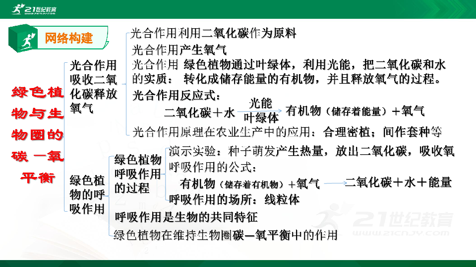 人教版初中生物总复习第一轮复习课件八光合作用呼吸作用植被