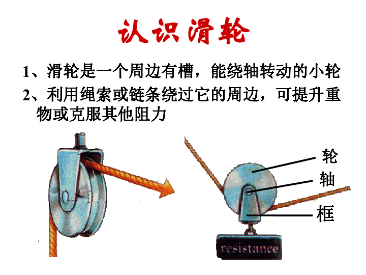 初中 科学 华师大版 九年级上册 第5章 功和简单机械 2 滑轮