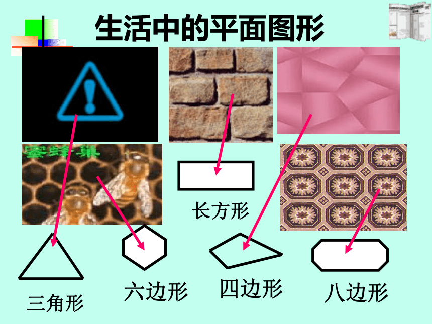 (3)会用多边形的内角和公式进行计算生活中的平面图形三角形长方形