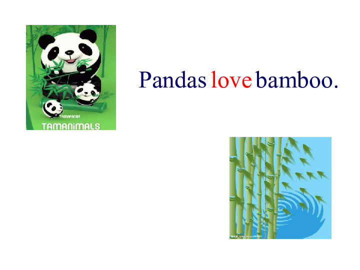 unit 2 pandas love bamboo课件 (共19张ppt)