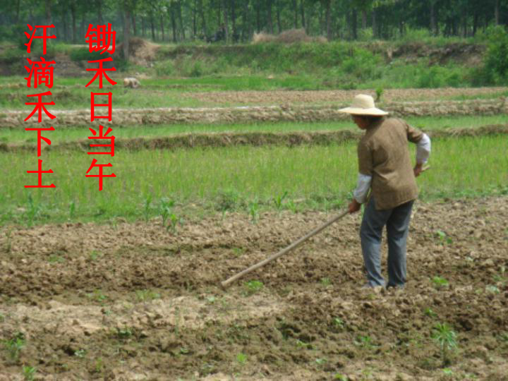 背书是写作的基本功梁衡隆尧县滏阳中学 姬凤迁我们背诵过的诗句