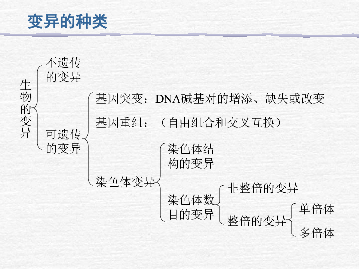 dna碱基对的增添,缺失或改变 基因重组(自由组合和交叉互换 染色体