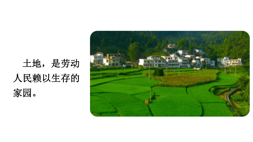 第21课三黑和土地课件共32张ppt