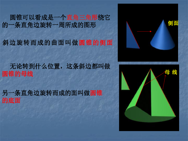 14)    试一试:以直角三角形一条直角边所在的直线为轴,其余各边旋转