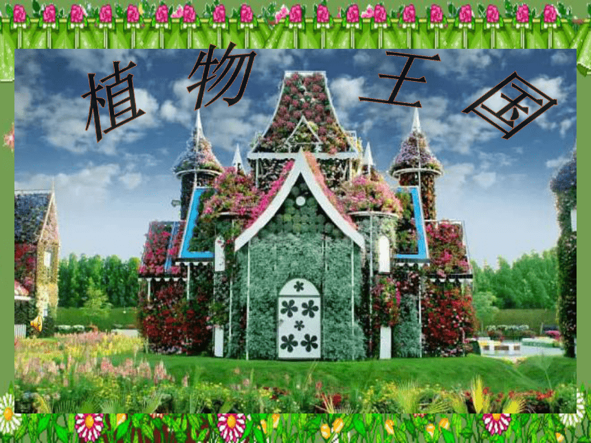 二年级下册 13 会变的花,树,叶 课件(共27张ppt)植物王国百花