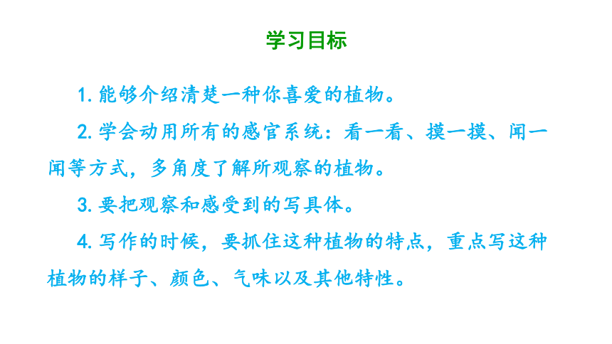 统编版三年级下册语文 第一单元《习作:我的植物朋友》 课件 (共51张