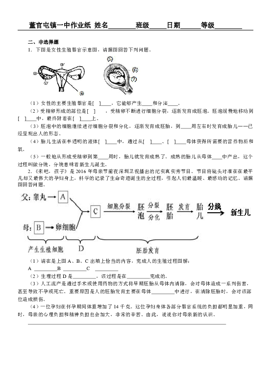 第一节婴儿的诞生练习