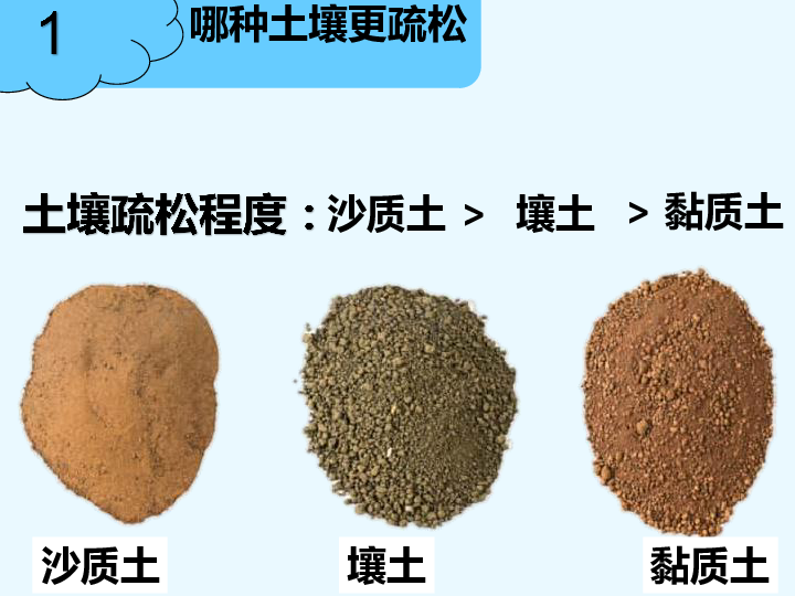 3土壤与植物课件15张ppt