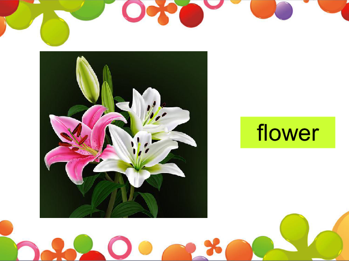 英语 接力版(三年级起点) 四年级上册 lesson 12 it"s a small flower