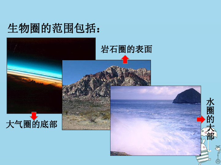 2.3生物圈是最大的生态系统 课件(19张ppt)新人教版
