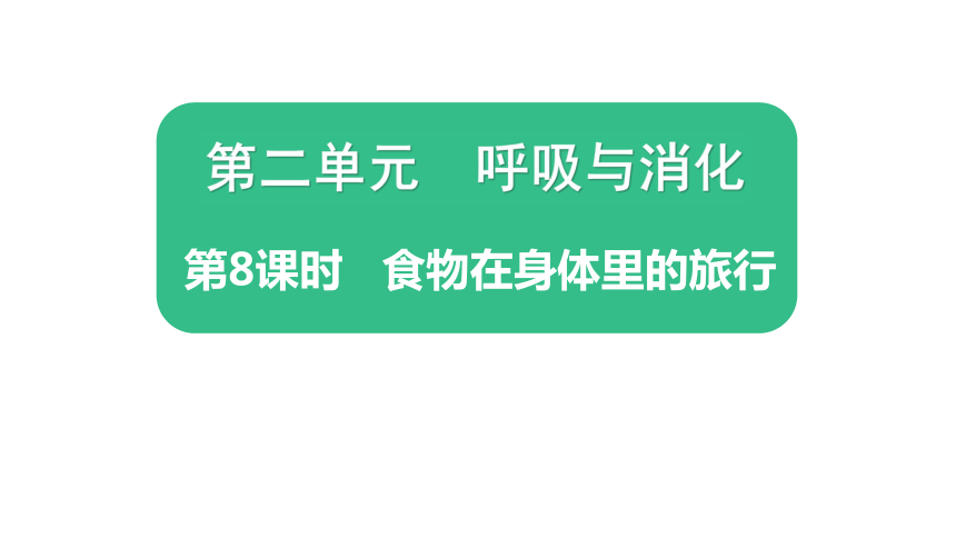 8.《食物在身体里的旅行