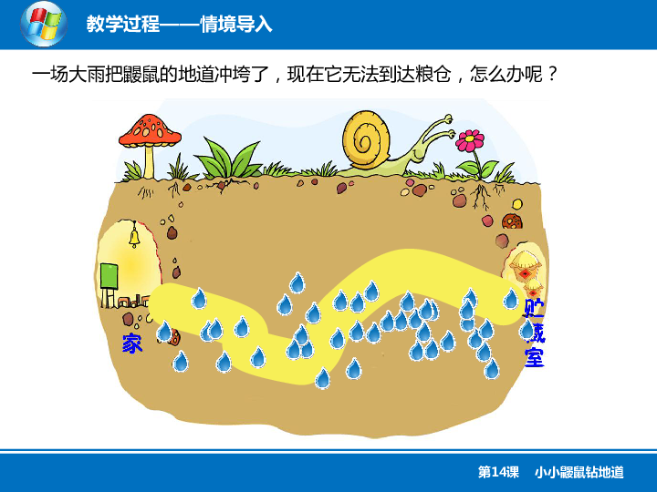 第14课小小鼹鼠钻地道课件共11张ppt