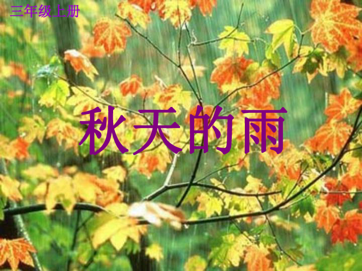 秋天昦雨收集描写秋天的词句？_秋天的雨教案范文_秋天 教案