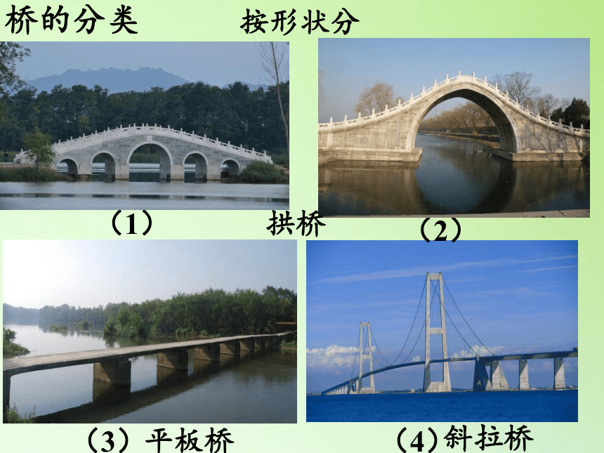 建桥梁        2单元 形状与结构请你画一画见过的桥梁.