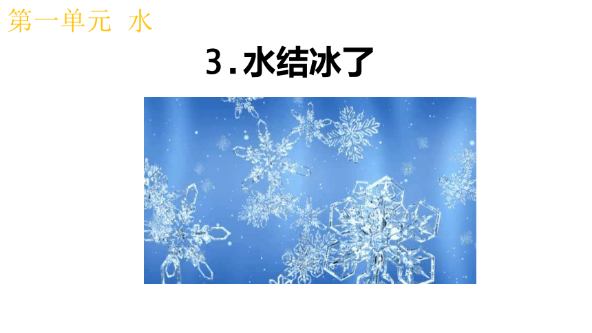 教科版2017秋三年级上册13水结冰了课件14张ppt