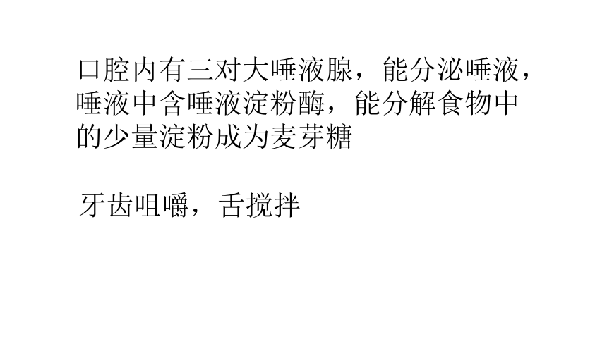 20212022学年度冀教版七年级生物下册122食物在胃肠内的消化课件共18