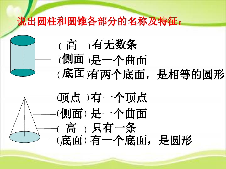 "整理与复习苏教版六年级数学下册说出圆柱和圆锥各部分的名称及特征