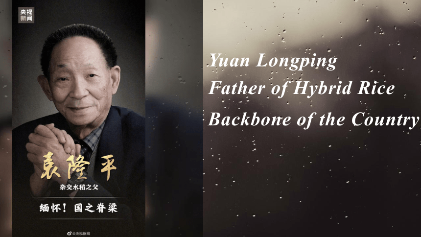 袁隆平的英文介绍(yuan longping:father of hybrid rice课件(15张ppt